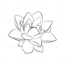 Black And White Water Lily Flower Tattoo Lotus Flowers Icon Royalty Free Lotus Flowers Icon Stock Vector Art More Images Of Lotus Water Lily Lotus Flower Drawing Lilies Drawing Lotus Flower Art
