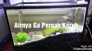 Agar air aquarium terjaga kejernihannya, biasanya memakai kapas filter sebanyak 2 buah, satu untuk dipasang dan yang satunya bisa sebagai pengganti saat terima kasih telah berkomentar dengan sopan di blog saya bimbingan belajar anak | cara menjernihkan air aquarium selama 1 bulan. Cara Membersihkan Air Akuarium Yang Keruh