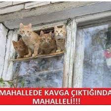 Daha Fazlasi Icin Goygoypage Arkadasini Etiketle Caps Komik Happy Smile Summer Like Follow Begen Komik Seyler Komik Capsler Komik Hikayeler