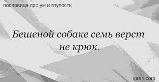 beshenoj sobake sem verst ne kryuk smysl poslovicy igra slov