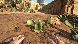 Ill be showing you four locations on where the cactus sap spawns on ragnarok. Cactus Sap Kaktus Saft Scorched Earth Ark Survival Evolved Forum Und Community