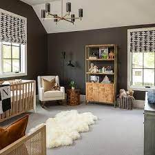 Chocolate Brown Paint Colors Design Ideas