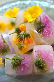 40 Clever Ways To Use An Ice Cube Tray Really Good Ideas Flower Ice Cubes Flower Ice Herbalism