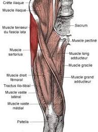 Selon le muscle touché, elles se manifestent à l'avant de la le traitement de la douleur dépend dans de nombreux cas de la cause. Douleur Au Genou Clinique Kine Sante