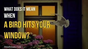 What Does It Mean When A Bird Hits Your Window Dejadream