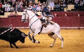 2016년 폐막 경기를 여기서 볼 수 있다. Campo Pequeno Celebra 125Âº Aniversario Com Corrida De Touros A 18 De Agosto Agricultura E Mar Actual