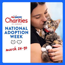 Update: reunited! Sharing for Mandy Lucas. Ace is missing from Erin  Heights, Erin, 519 215 3889 #haveyouseenhim #dogmissing