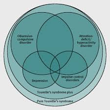 Do you have tourette's syndrome? Tourette S Syndrome The Bmj