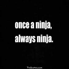 Yes I Am A Ninja Ninja Quote Genius Quotes Meaningful Quotes