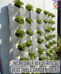 15 Incredible Diy Vertical Vegetable Garden Ideas For Small Backyard Vertical Garden Diy Vertical Garden Design Vertical Vegetable Gardens