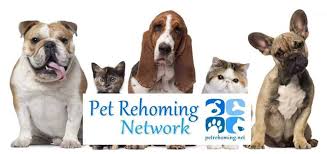 Long island feline adoption center's adoption process. Long Island Pet Rehoming Network