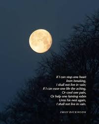 Pin On Words Of Wisdom