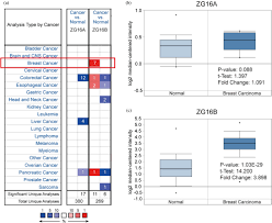 Completing orders is how sellers grow their businesses on fiverr. Identification Of Zg16b As A Prognostic Biomarker In Breast Cancer