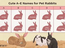 You don't have to have a given name ready before you see your precious little one's. Pet Rabbit Names That Start With A Through E