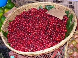Goyaviers De La Reunion Confiture De Goyavier Gelee De Goyavier Cuir De Goyavier Nectar De Goyavier En Vente Sur Www Yumh Reunion Island La Reunion Reunion