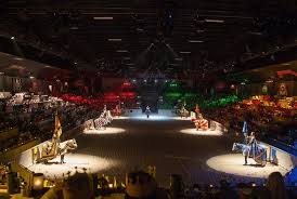 Medieval Times Dinner Tournament Irving Tx 75039