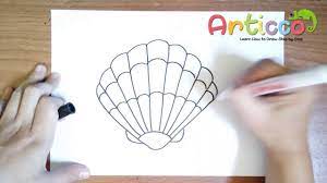 Lives in river, pond, and. How To Draw A Seashell Step By Step Youtube