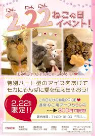 Tiktok for good advertise developers transparency. çŒ«ã‚«ãƒ•ã‚§mochaçŒ«ã®æ—¥ã‚¤ãƒ™ãƒ³ãƒˆé–‹å‚¬ã®ãŠçŸ¥ã‚‰ã› çŒ«ã‚«ãƒ•ã‚§ãƒ¢ã‚« ãŠçŸ¥ã‚‰ã› ãƒ¡ãƒ‡ã‚£ã‚¢æŽ²è¼‰æƒ…å ±