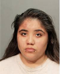 ᐅ Illinois Criminal Records 2009-2026