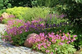 Auch hat jeder seine eigenen vorstellungen und prioritäten. Pflegeleichter Garten Ohne Rasen Fur Chronisch Kranke Auf Dem Weg Zur Gesundheit