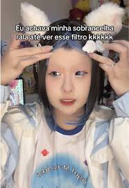 Filtro de Sobrancelha Kawaii e Efeito Invertido