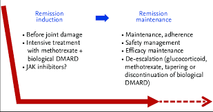 Treatment Strategy For Rheumatoid Arthritis To Stop Joint Damage Download Scientific Diagram