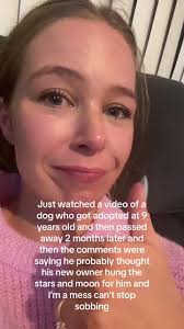 Heartbreaking Story of Moe Man's Adoption and Loss