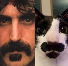 Frank & Cat Zappa