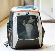 Best cat backpacks of 2026, tried and tested | CNN Underscored