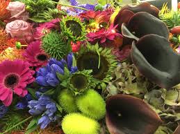 We did not find results for: Flowers By Peter Boeijkens Home Facebook