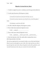 Digestive System Review Sheet Key