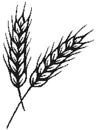 Choose from annie's wide range of counted cross stitch patterns to find a project perfect for your home décor, gift giving, or other creative use. Wheat A Counted Cross Stitch Pattern Cross Stitch Cross Stitch Patterns Counted Cross Stitch Patterns