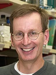 2020 Annual Report of the Division of Intramural Research, NICHD