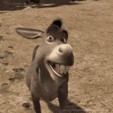 Donkey Shrek Gifs Tenor