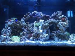 New Rockscape Reef Tank Gallon Tank