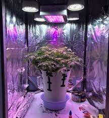 12 to 16 inches away. Led Grow Light Distance Chart How Far Should Led Grow Lights Be From Plants 420 Big Bud