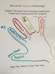 Science 5 Kingdoms Of Living Things Science Biology