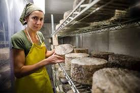 I Want To Become A Cheese Maker… Where Do I Start?