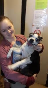 In the past, you could target dog owners and pet owners by purchasing behavior. Peaches Was So Happy When Her Owner Came Partners For Pets Marianna Fl Facebook