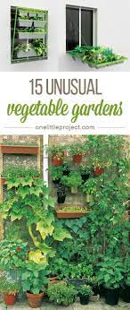 15 Unusual Vegetable Garden Ideas Small Vegetable Gardens Vertical Vegetable Gardens Backyard Vegetable Gardens