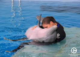 Pin By Clearwater Marine Aquarium On Dolphins Clearwater Marine Aquarium Marine Aquarium Dolphin Trainer