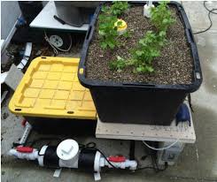 Grow Bed Part Of Aquaponic Balcony Garden 14 Steps With Pictures Instructables