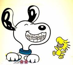 Pin De Romi Escumbarti En Tips Consulta Humor Del Dentista Ortodoncia Arte Dental