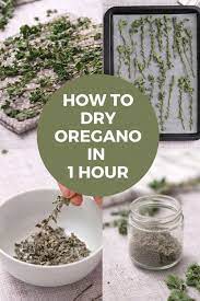 How To Dry Oregano In 1 Hour Easy Oven Drying Method