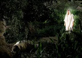 Not my will but thine be done but let the fullness of the son rule within this life that i have offered thee until everything i do becomes the thing that pleases you abba father i would be a son indeed. Not My Will But Thine Be Done When The Scriptures Speak