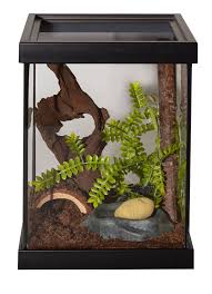Pin On Terrariums