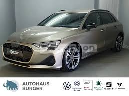 Image result for Dark Beige 2006 A3