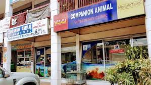 We take pride in providing our patients with exceptional veterinary care in a warm and welcoming environment. Companion Animal Veterinary Clinic