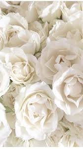 45 Beautiful Roses Wallpaper Backgrounds For Iphone Flower Aesthetic Flower Background Wallpaper Flower Wallpaper White roses wallpaper best flower wallpaper gold wallpaper background beautiful flowers wallpapers pink wallpaper iphone butterfly wallpaper iphone backgrounds wallpaper backgrounds screen wallpaper. beautiful roses wallpaper backgrounds