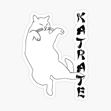 It lives in how we put on the jacket, how we take off the jacket. Katrate Karate For Kung Fu Cats Greeting Card By Dttb Redbubble